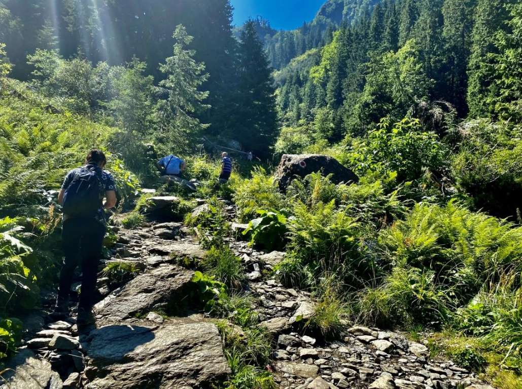 Étant un itinéraire simple et facile à parcourir, Bâlea Cascade - Bâlea Lac est plein de touristes tout l'été