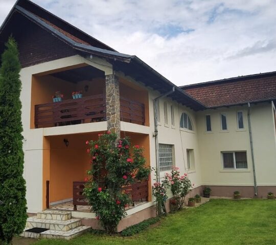 Pensiunea Rustic Argeșean Pensiunea Rustic Argeșean