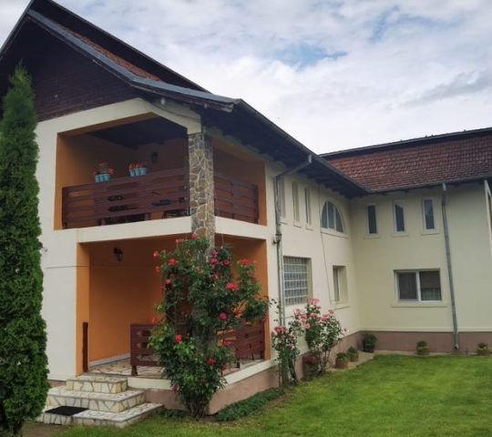 Pensiunea Rustic Argeșean Pensiunea Rustic Argeșean