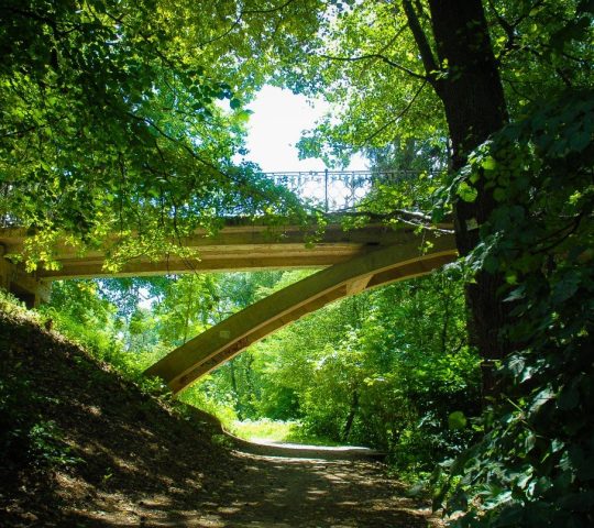 Parcul Sub Arini Parcul Sub Arini