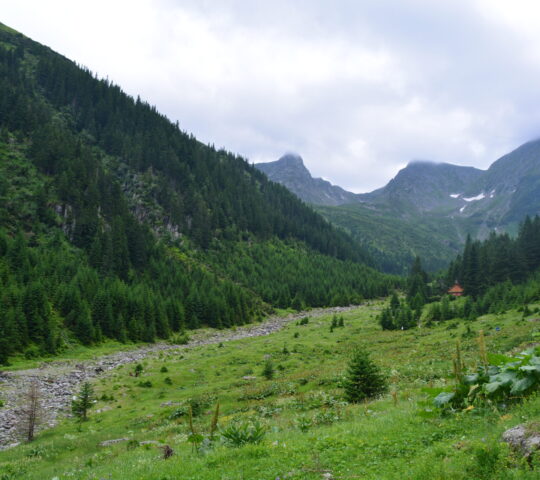 Complex Turistic Sâmbăta ? Fereastra Mare a Sâmbetei Complex Turistic Sâmbăta ? Fereastra Mare a Sâmbetei