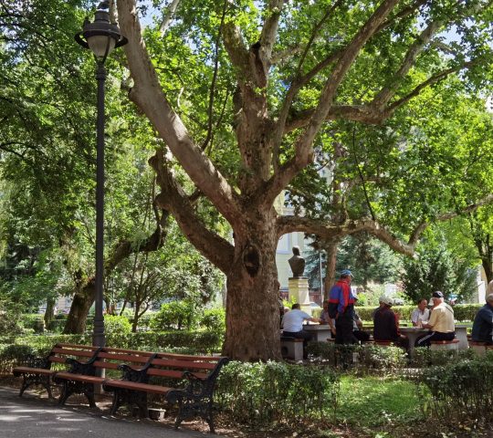 Parcul Central Astra Parcul Central Astra