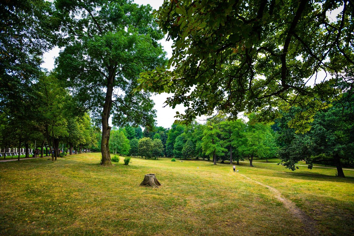 parc-sub-arini-1-ap52 Parcul Sub Arini 2025